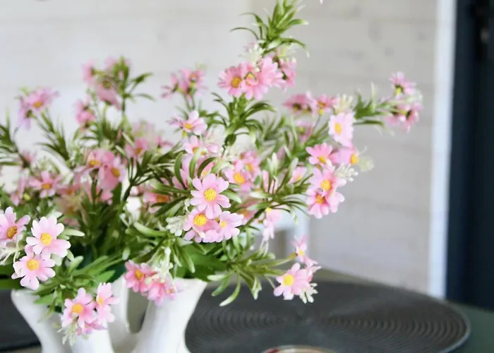 Zacisze Mrozy * Ełk